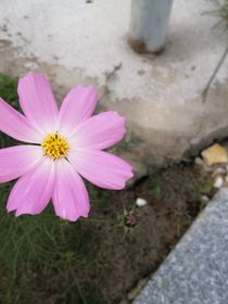 命中所測