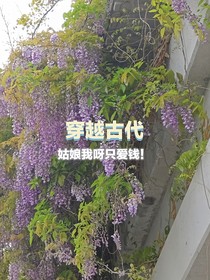 穿越古代：姑娘我呀只爱钱！