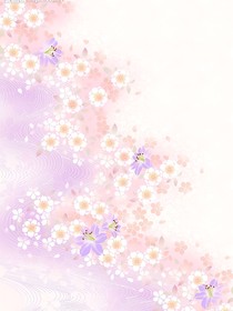 全明星：桃花一朵朵