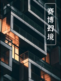 赛博幻境