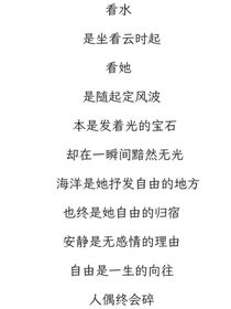 莱茵骨和向日葵