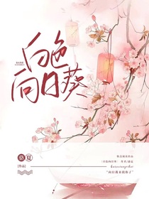 白色向日葵