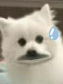 阿姊，我们要永远在一起