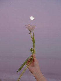 回身经年