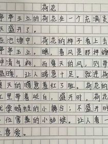 庞尊……无悔