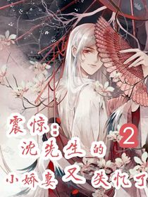 沈先生的小娇妻又失忆了2