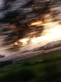 江迟年