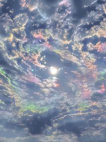 我是個美麗的海王