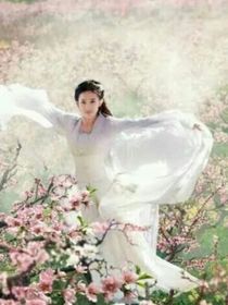 蓮花樓：只愿你一世長(zhǎng)安