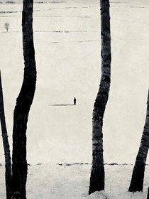灵魂Y13号