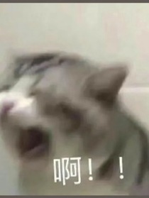 酒吧怪談