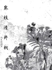 寒枝清許桐