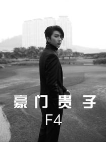 豪門貴子F4：娛樂圈