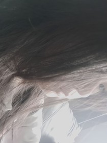 沃橙