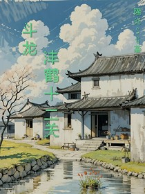 斗龙，沣鹤十二关