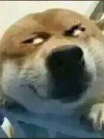 王者冠冕