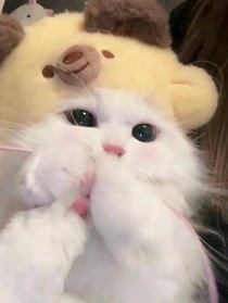 遥不可及的梦泪
