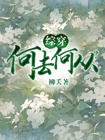 综穿：何去何从？