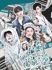 TNT：我扇金主的狗