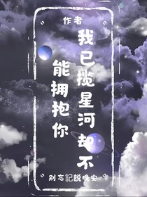 我已揽星河却不能拥抱你