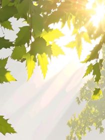 长夏慢慢