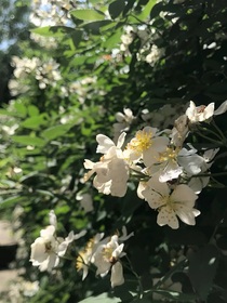 末日璐存
