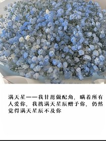 随笔大杂烩