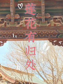 莲花楼：莲花有归处