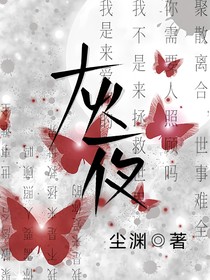 （群像）灰夜