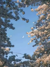 悲葬