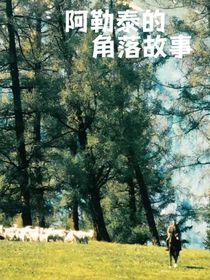 阿勒泰的角落故事