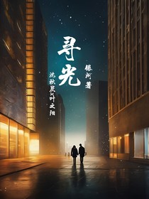 寻光—