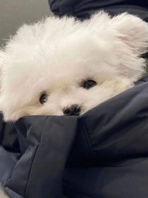 忆旧……