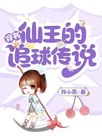 穿书：仙王的追球传说