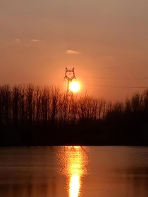揪捣（校园）