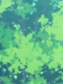 夏日无望的烟火