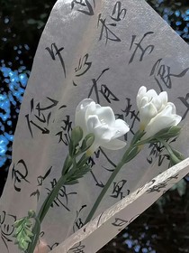 我们早已相许终身