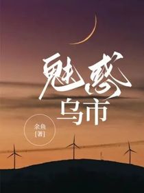 魅惑乌市