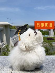 穿越女二下定決心要學(xué)習(xí)