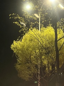 与生活的战争
