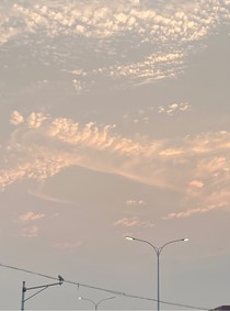 如若昭然