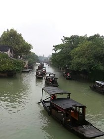 花开终落