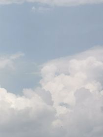 書(shū)名正在修改1716714511796518352
