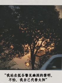救贖：燦光之下一抹黑暗的角落