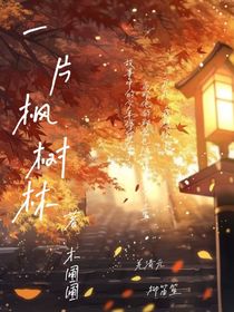 一片枫叶林