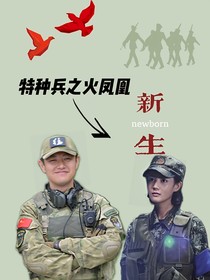 火凤凰之新生