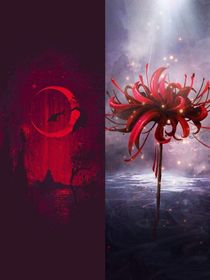 冉冉之星，终会璀璨，舐血之欲，命运之夜