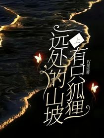 远处的山坡上有只狐狸