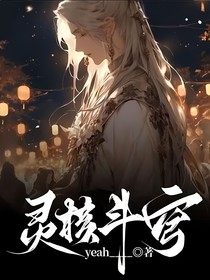灵核斗穹