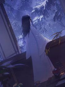 综漫……我与夫君满宇宙窜